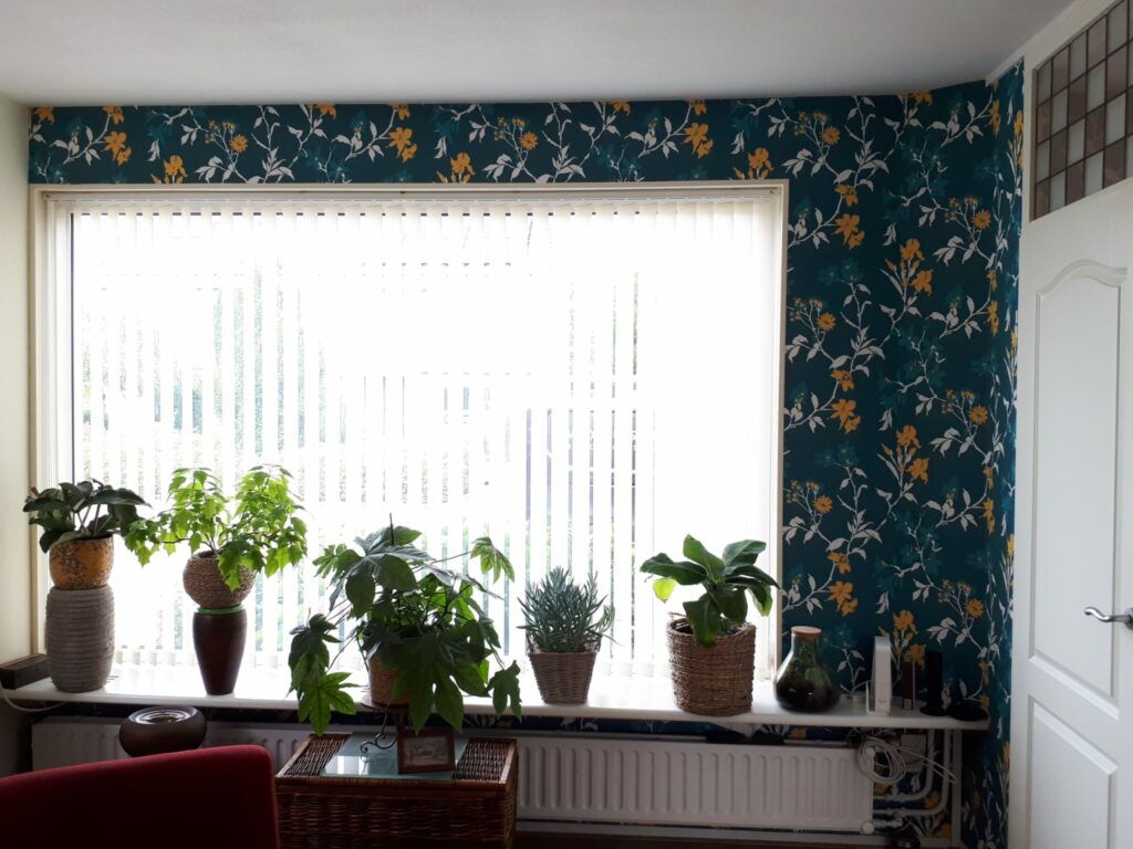 Laura's HI Design interieuradvies interieurontwerp kleuradvies behang petrol blauw oker geel wit creme plant groen hout rood lamellen deur glas bloem
